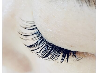 フロラシオ(FLORACIO)の写真