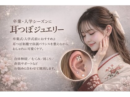 アンダンテ(Andante)の写真