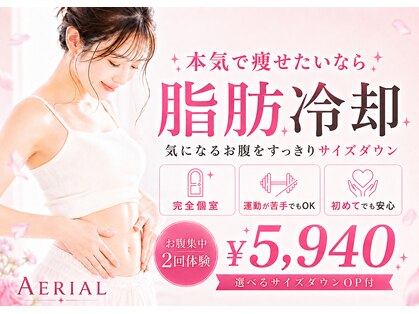 エアリアル 八代店の写真