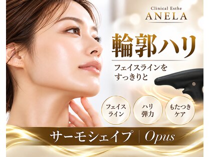 アネラ(ANELA)の写真