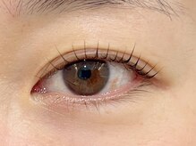 カシータ(Casita)/マイラミネーション/立ち上げ