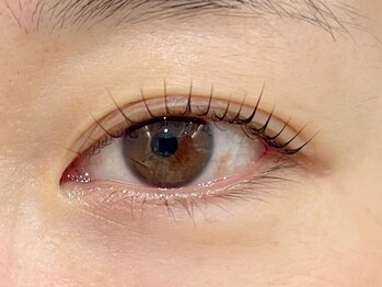 カシータ(Casita)/マイラミネーション/立ち上げ