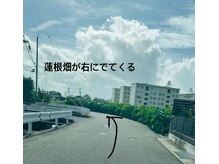 ディオ(DIO)/カーブを曲がって