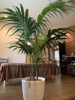 エフ(F)/healing salon F