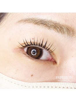 パピヨン(PAPILLON)/