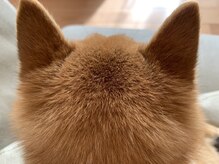 アミークス(Amicus)/プライベート