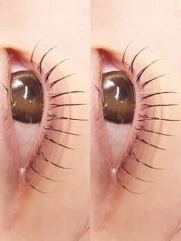 アイラッシュ シェリ(cheri)/ラッシュリフト