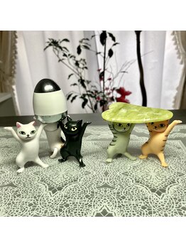 桃の木 吉祥寺店/働くネコ