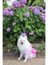 リッチネイル(Rich Nail) 千奈美