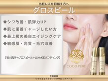 サロンスペース/化粧レス【グロスピール】