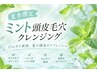 【夏季限定】ミント頭皮毛穴ケア