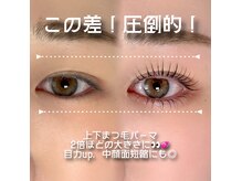 ノプシス(nopsis)の雰囲気（韓ドルeye☆大人気の束感、なりたいまつ毛に◎）