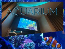 ル クラブ ド ボーテ 練馬/アクアリウム☆練馬マッサージ