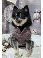 はあとねいる 西川口店 愛犬のフクです!チワワとポメのミックスです