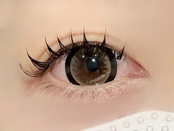 パキラ(Pachira)/盛り派のコスパ最強デザイン♪