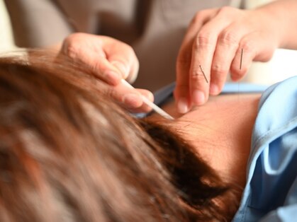 さわらびの写真