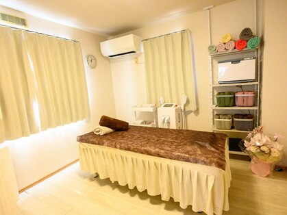 リリー(lily)の写真