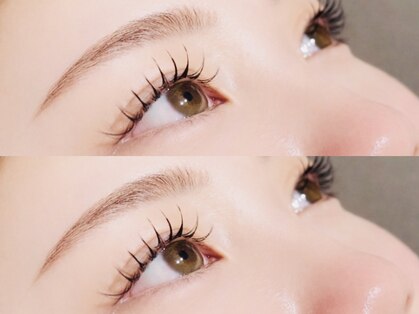 ルーム(LUME)の写真