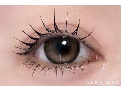 シーク デア(Seek-Dea)の写真