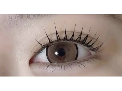 シェーン(shane)の写真