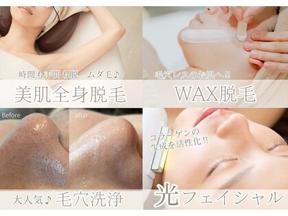 セレン(Seren)の写真