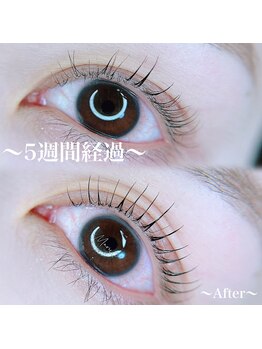 マリヤ 浦安店(Mariya)/まつげパーマ【4Dflow】