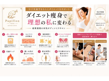パピヨン(Papillon)の写真