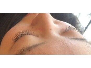 プリエ(BRILLER)/セーブル　１００本