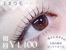 チュリップサカエ(Tulipe sakae)