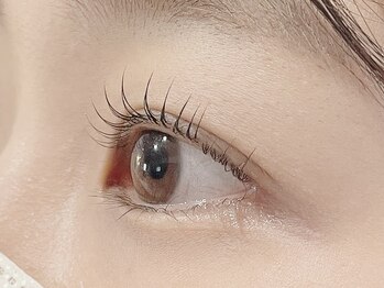 シロ(shiro)の写真/《まつげ×眉毛の専門店》ライフスタイルに合わせたデザインをご提案！ナチュラル上品な仕上がりに◎