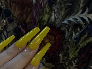 ヴィーナス トラップ(VENUS TRAP)/派手色ワンカラー★