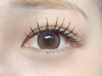 アンジェリカミッシェル 大阪ベイタワー店/フラットラッシュ120本