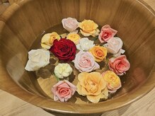 彗星蘭 浅草店/