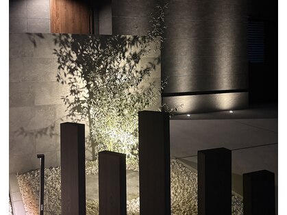ソリス(solis)の写真