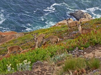 アジアンリラクゼーション ヴィラ 福岡東店(asian relaxation villa)/バリ島国立公園