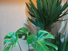 ビービューティースタジオ 茅ヶ崎店(Be_beauty studio)/店内紹介