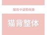 【姿勢改善&美姿勢を目指す】猫背矯正 通常価格¥6600