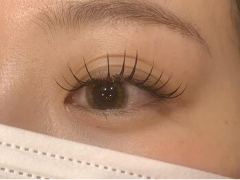 アングゥ ウル(ungu ul)/セーブルラッシュ100本