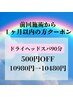 【前回施術から1ヶ月以内の方】ドライヘッドスパ90分¥10.980→¥10.480