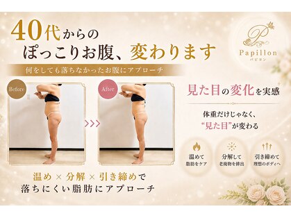 パピヨン(Papillon)の写真