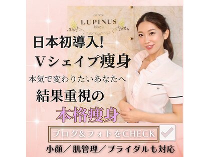 ルピナス ヒサヤ(LUPINUS hisaya)の写真