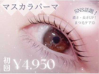 チュリップサカエ(Tulipe sakae)の写真
