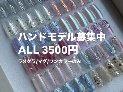 アリ(Ari33)の写真