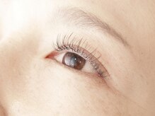 カミビトプラス アイラッシュ(KamiBito +plus)/フラットラッシュ１２０本