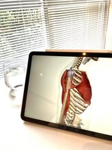 フィデル(fidele)/身体の構造を理解 【千駄ヶ谷】