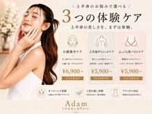 アダム(Adam)