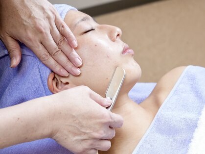 シバ(SHIBA)の写真