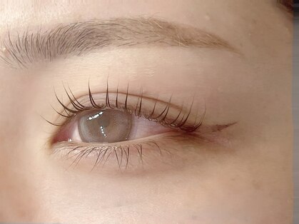 カリノ(carino)の写真