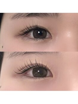 ラクス(Lacus)/まつげパーマ/メーテルデザイン