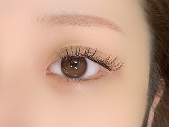 アンディ(ANDY)/フラットラッシュ120